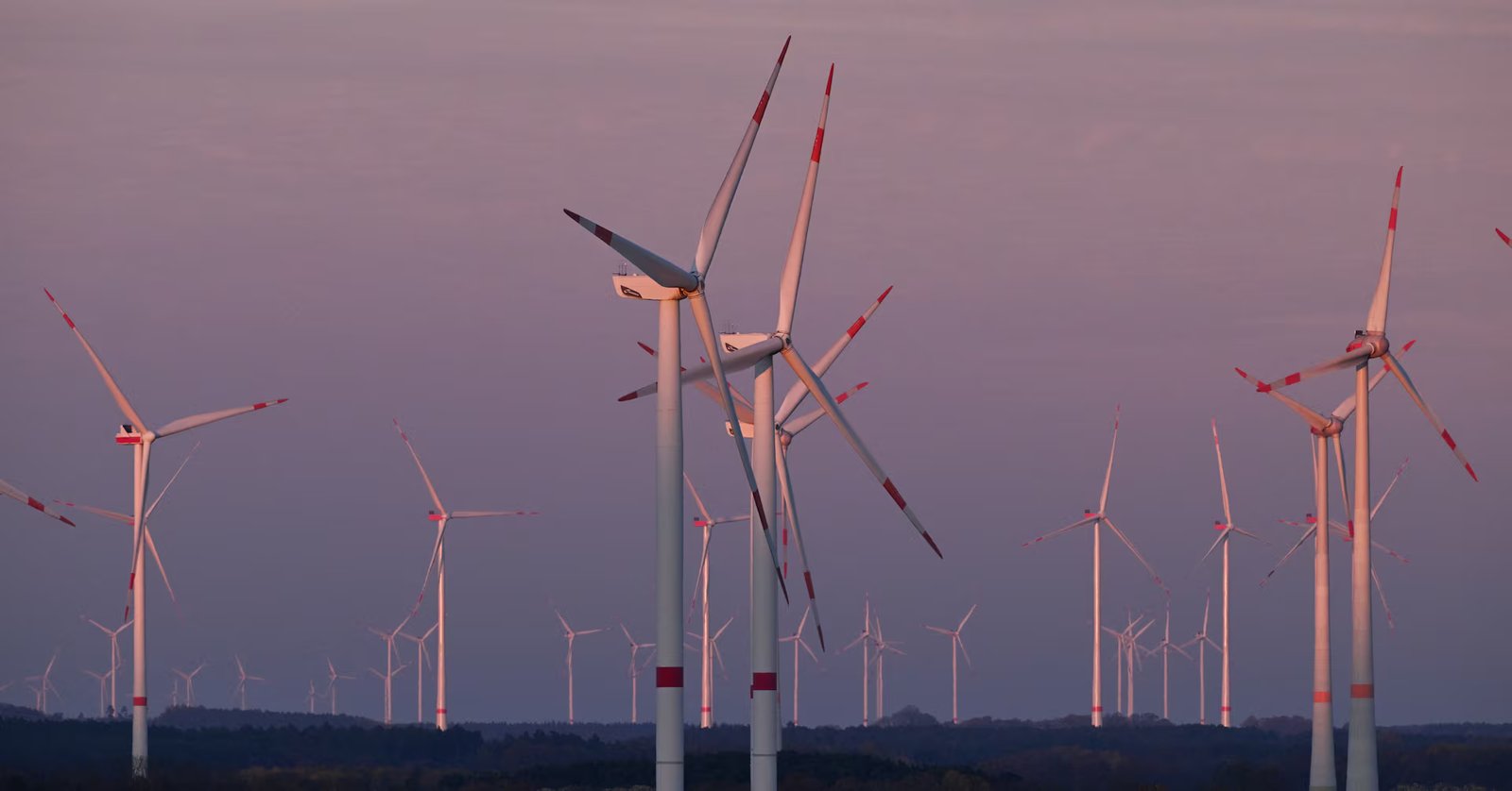 Wind and solar beat fossil fuels in EU power mix in 2025, energy think tank says