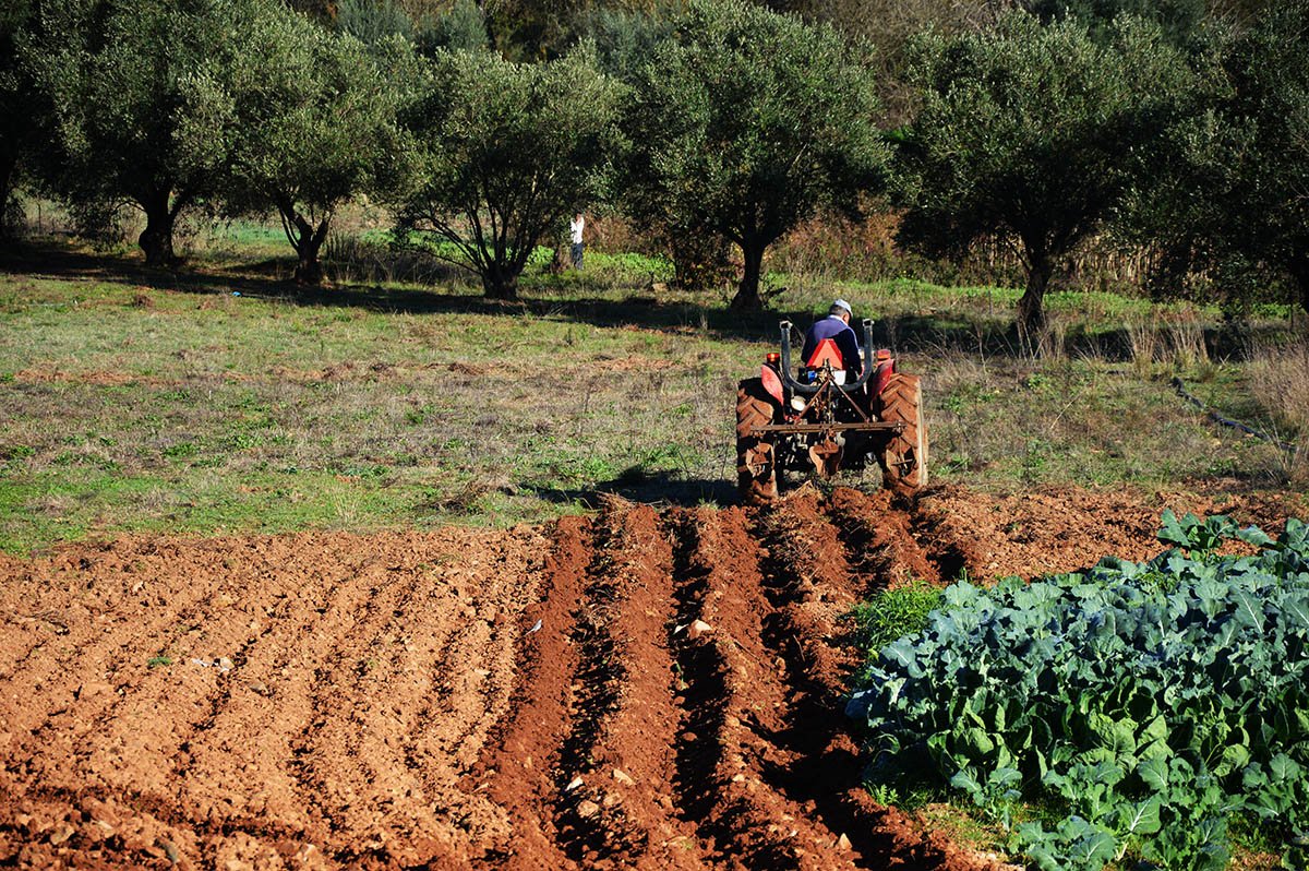 Sul Informação - São Marcos da Serra: elderly man missing after tractor accident found
