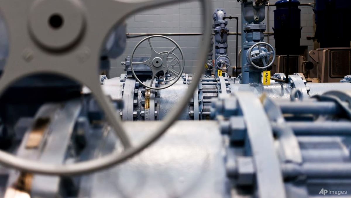 EU ban on 'forever chemicals' set for delay
