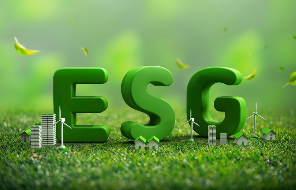 cover European markets regulator targets greenwashing in latest ESG report