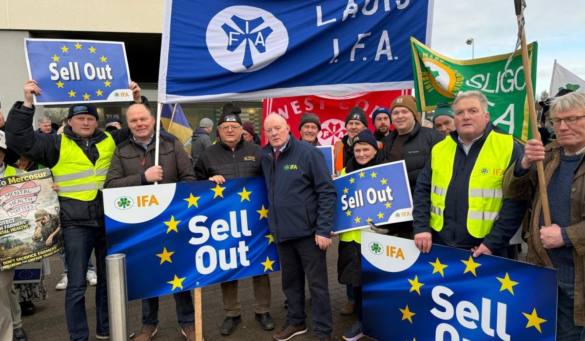 Laois welcome for MEP vote on Mercosur's legality