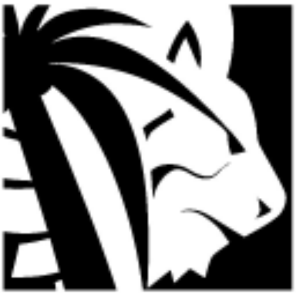 Lion One Metals adds David Anderson to board