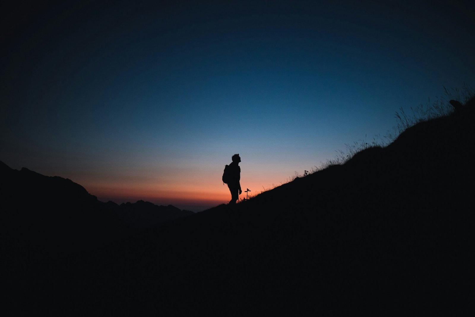 Ten ways LPs are going ‘beyond the check’ to help impact managers survive the fundraising drought