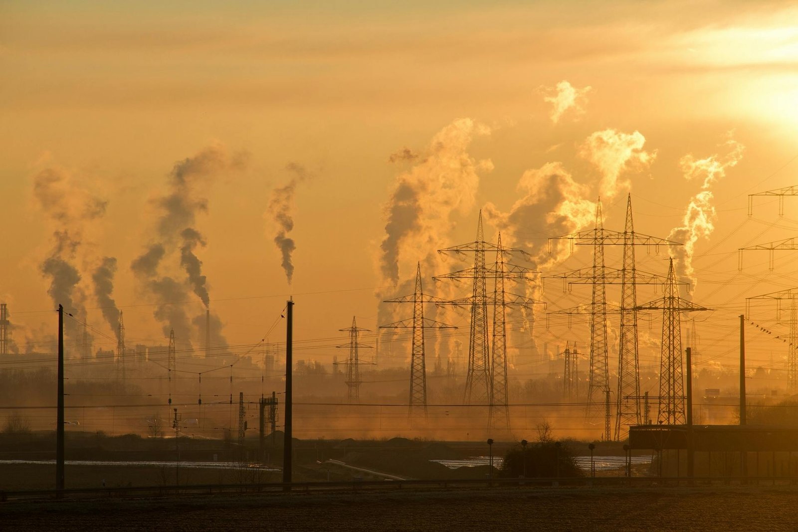 cover EU carbon tax revenue triples in six years reaching €51 billion