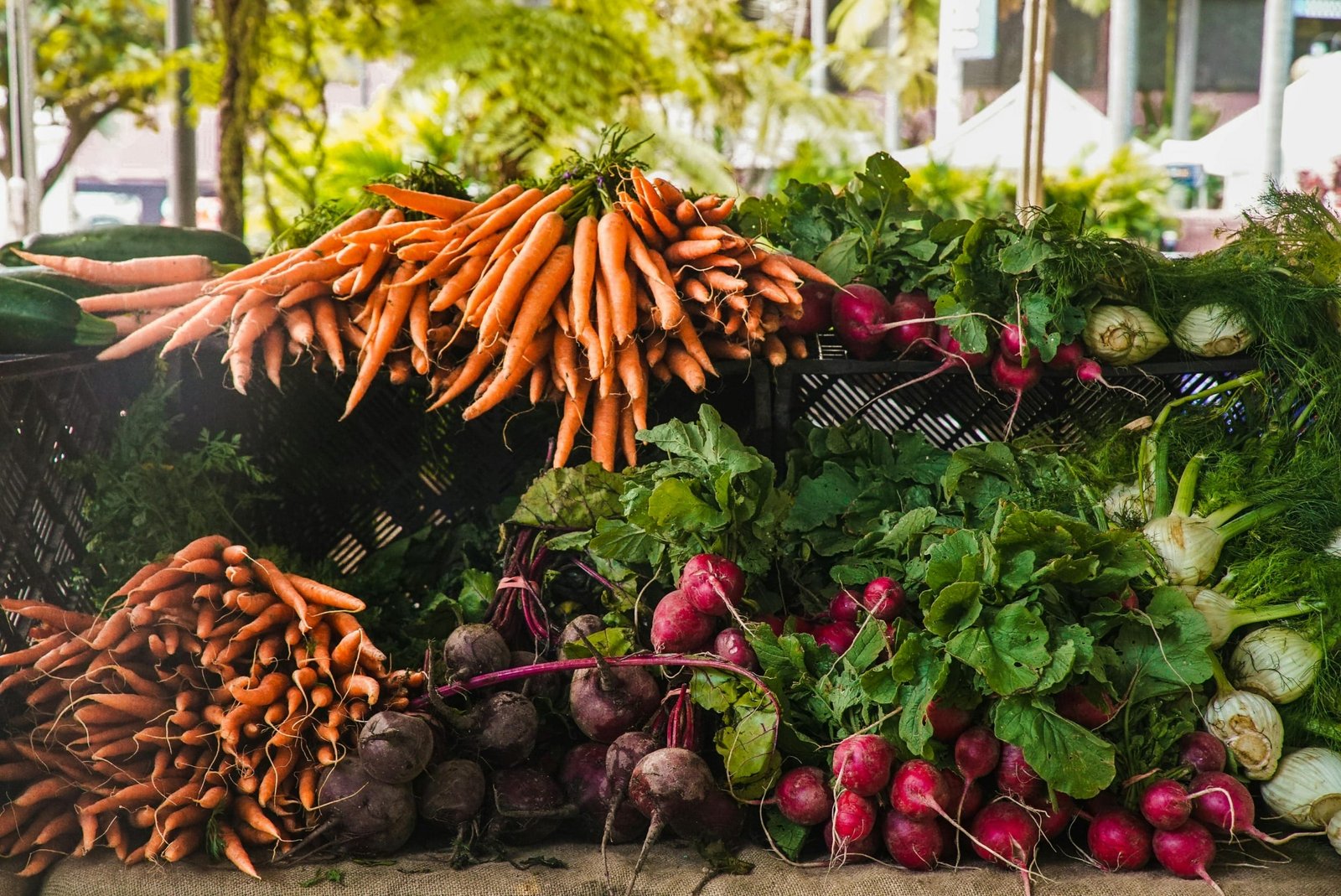 European Leaders Meet at Sustainable Foods 2026
