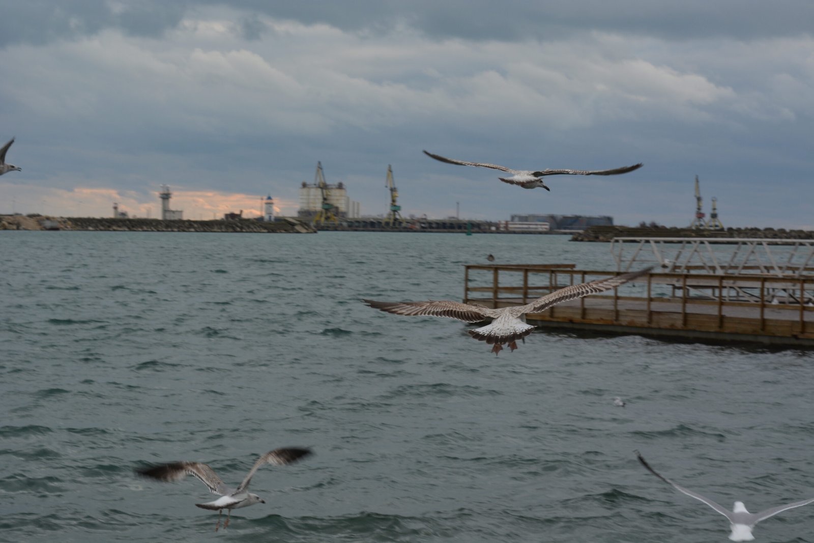 The European Union’s Black Sea strategy