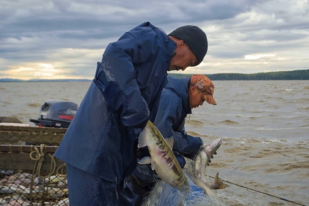 Russia Keeps Cod, Pollock Flowing to EU Despite Tariff Loss and Sanctions