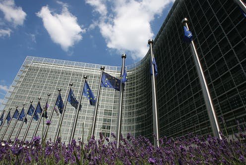 EU and Mercosur Seal Landmark Free Trade Deal After 25 Years of Talks