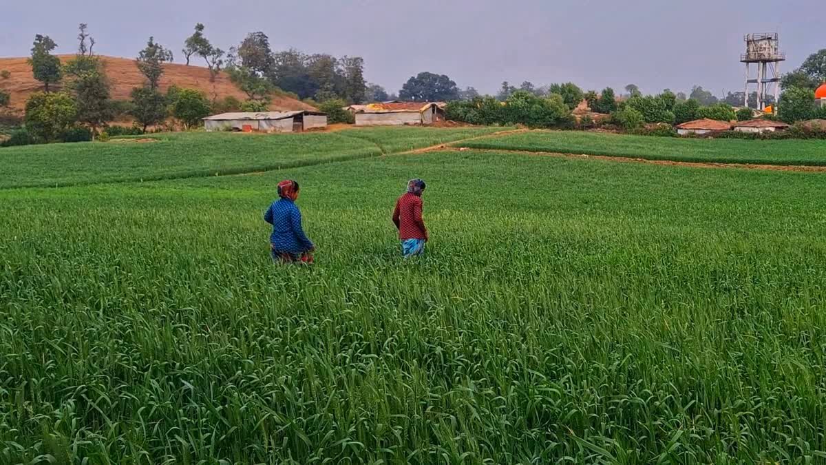KhetiBuddy is working to bridge digital gap in India’s agri-food supply chains