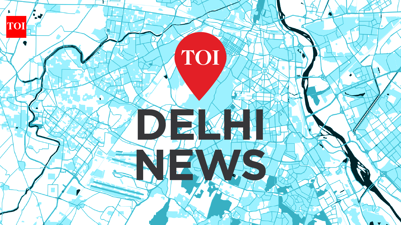 Experts highlight sustainability rooted in Indian traditions at Hansraj College | Delhi News