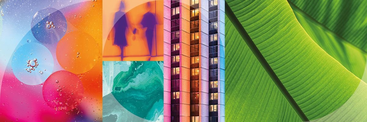 EU Corporate Sustainability Due Diligence Directive (CSDDD / CS3D), Julia Voskoboinikova