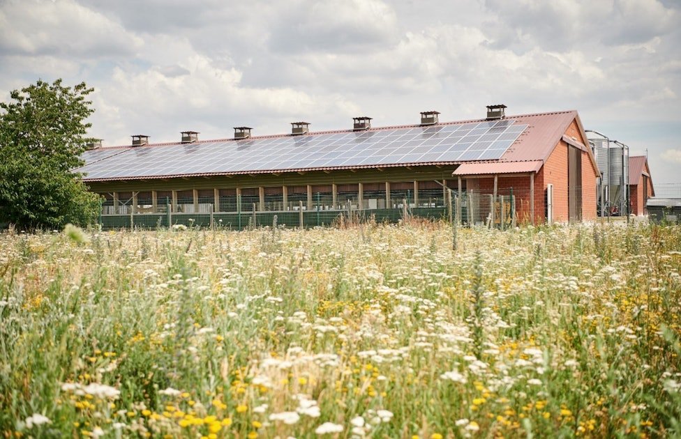 Heidemark of Germany acquired by Boparan