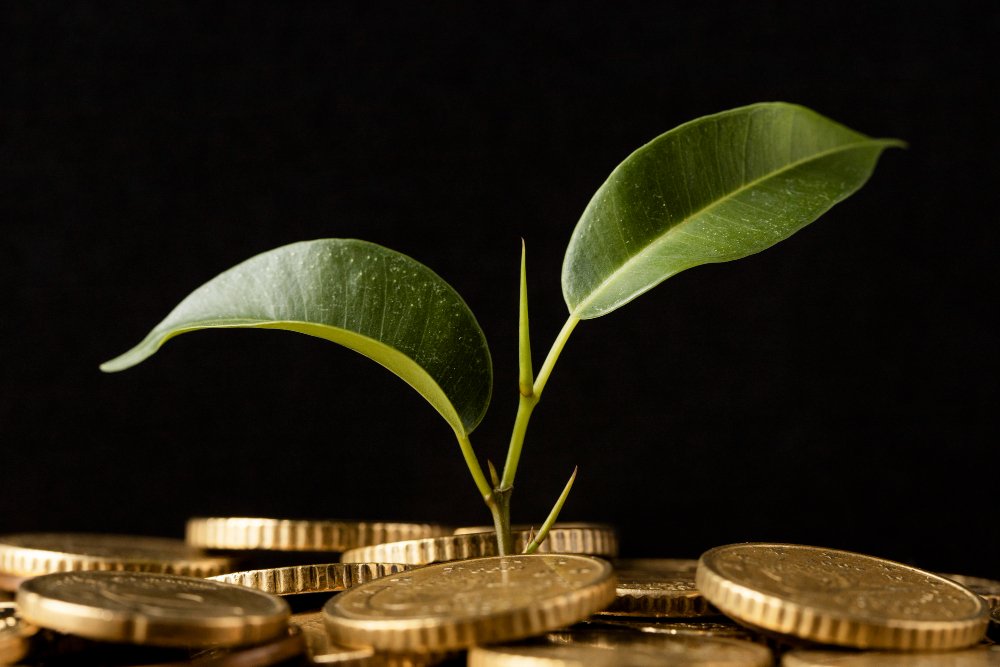 Council signs off simplification of sustainability reporting and due diligence requirements to boost EU competitiveness