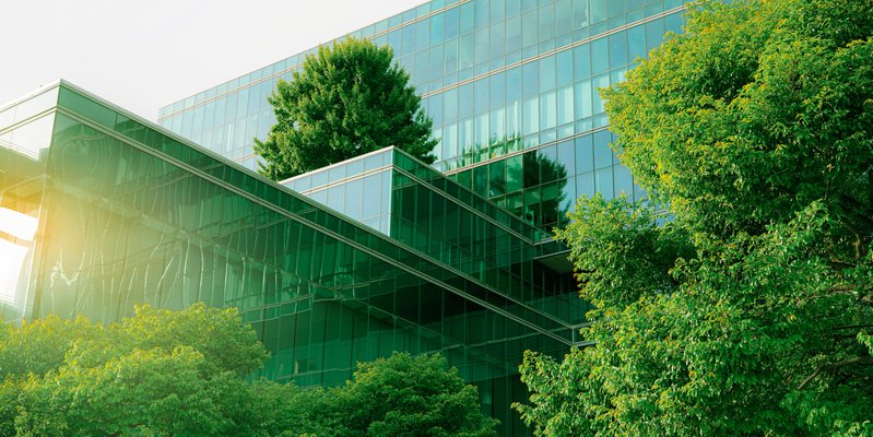 EU Sustainability Omnibus Published in the Official Journal