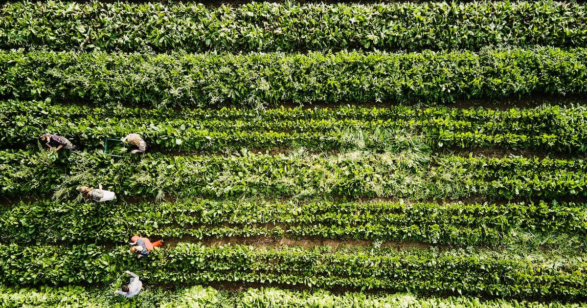 February’s big shifts in farming rules, trade and tech