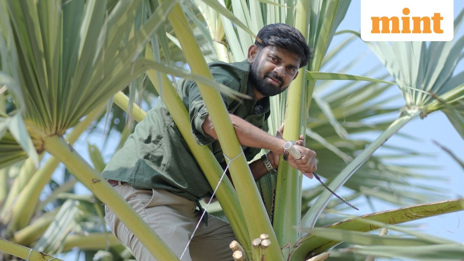 Inside the Tamil show turning startups into household names