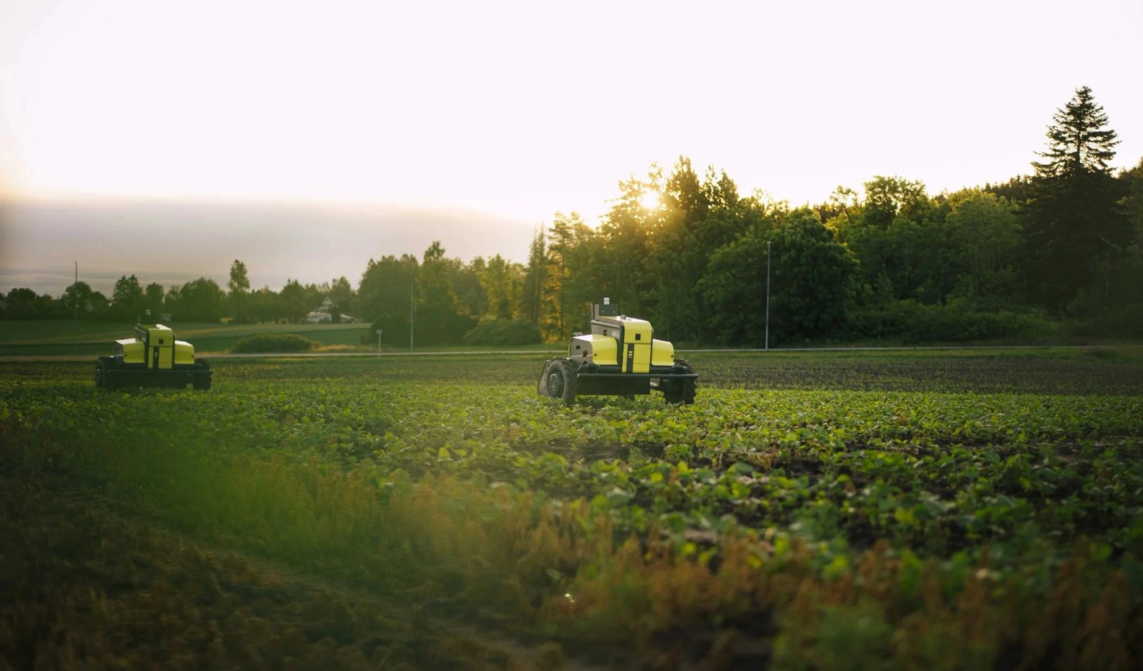 Kubota Leads Latest €6.5M in Funding for Norwegian Autonomous Weeding Startup Kilter