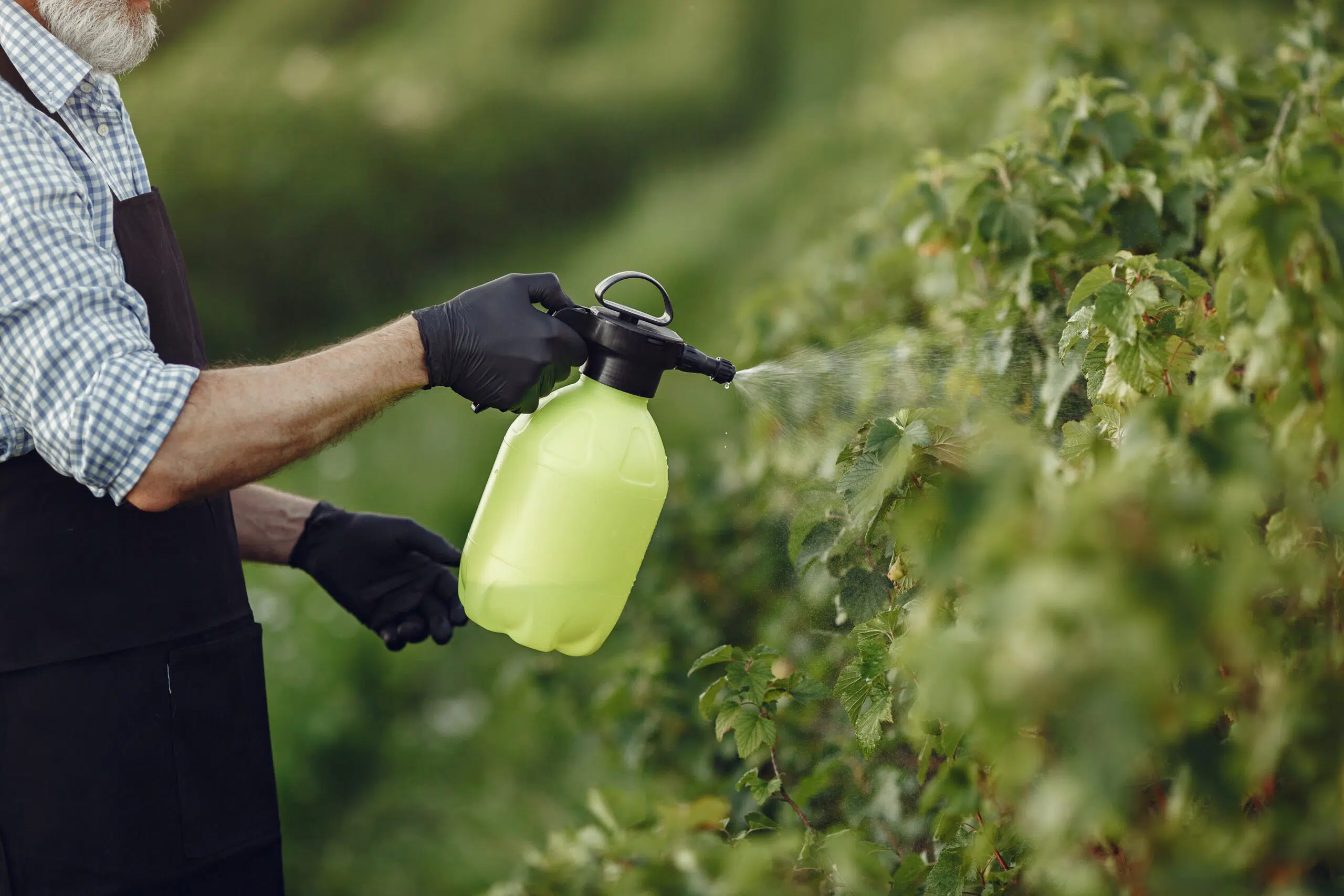Alarming soil contamination in Europe: pesticides affect 70% of the territory, with glyphosate leading the way