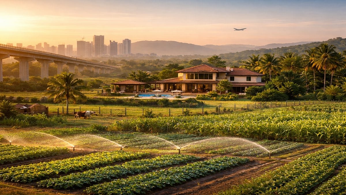 Farmlands Becoming High-Interest Asset For HNIs Amid Tax, Diversification Benefits
