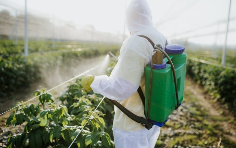 EU-Banned Pesticides Widely Used in Latin America