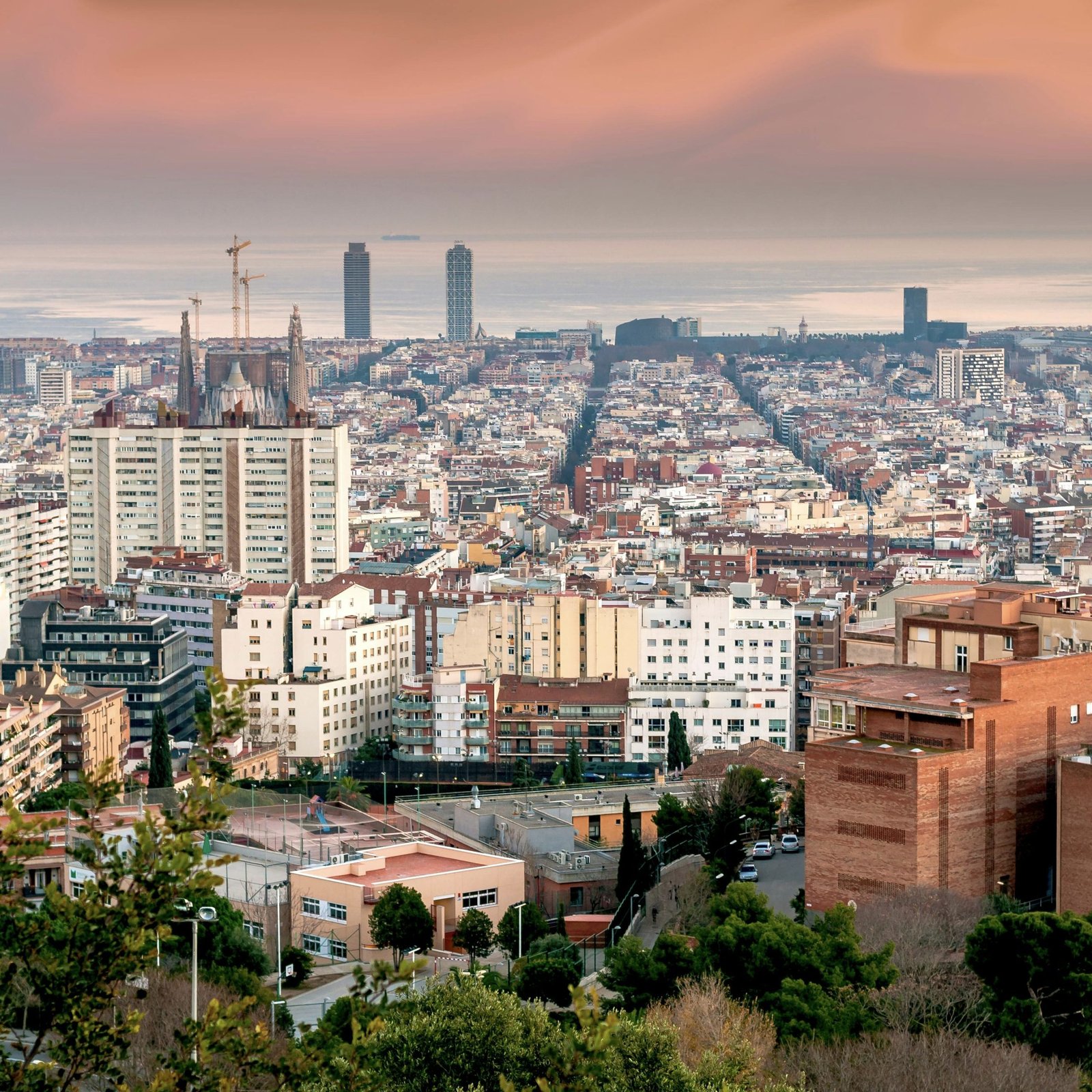 Catalonia sets record with 2,403 startups in 2025