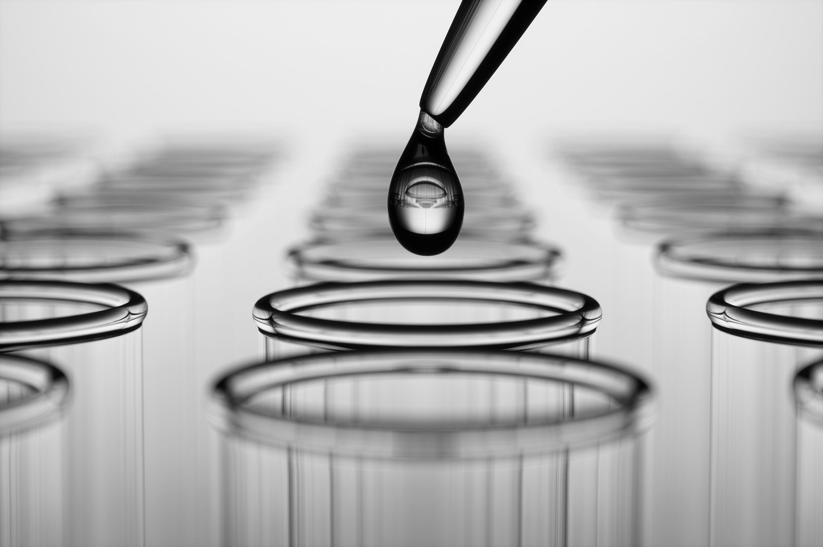 EU Chemicals Law: REACH recalibrated for resilience