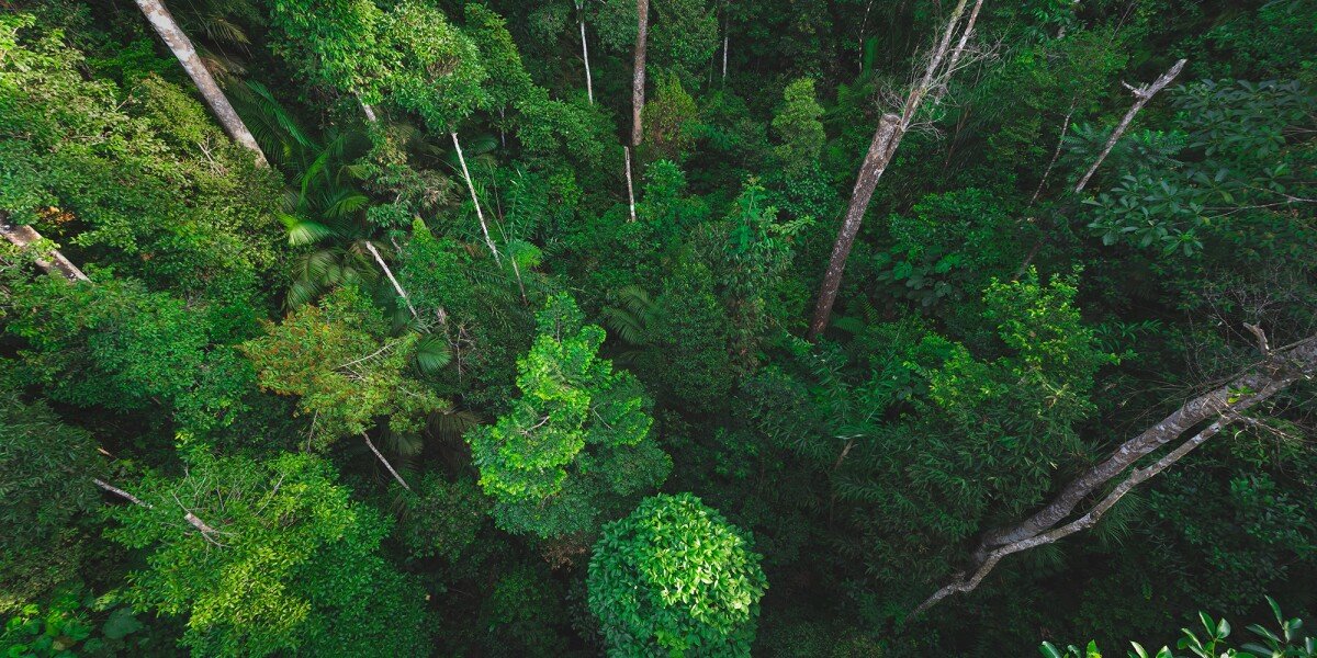 Amazon supports development of free European biodiversity metric to accelerate nature protection