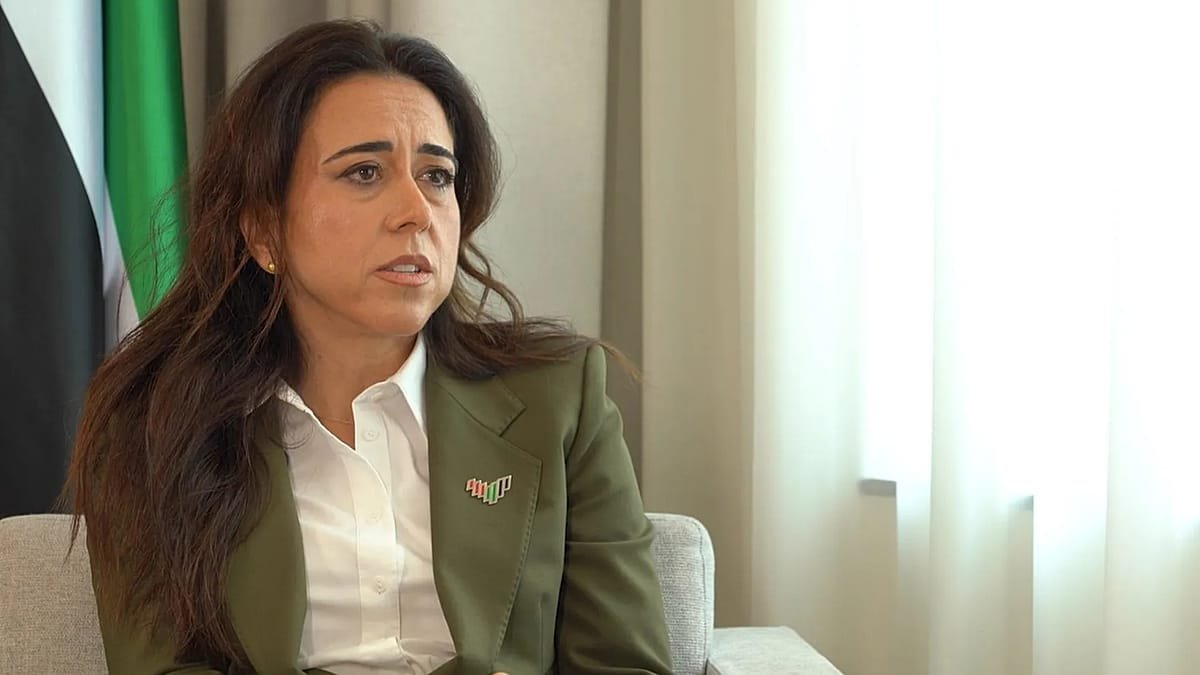 ‘Europeans have been incredibly supportive,' UAE foreign minister tells Euronews