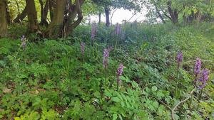 Rethinking Europe’s nature reserves | EurekAlert!