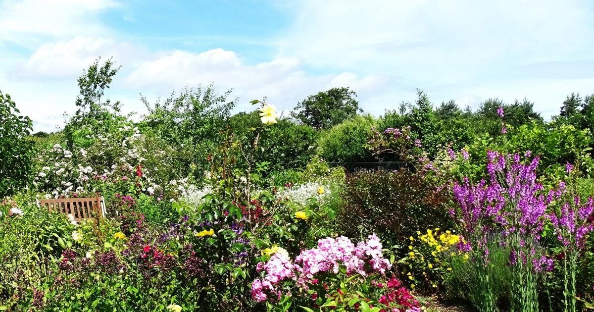 Hospiscare Open Garden event raising funds for charity
