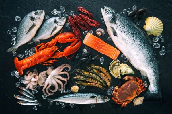 Europêche imported fishery products