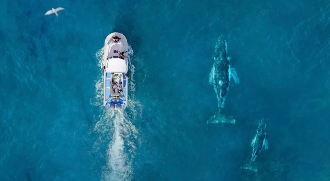 Brussels turns to oceans, fisheries and maritime security ahead of European Ocean Days