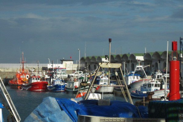 Spanish fish producer organisations