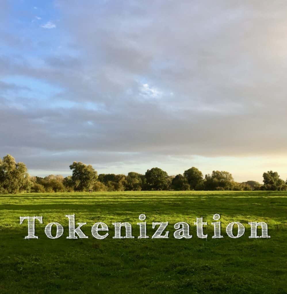 Capital Ideas: Tokenized Securities & ATS Networks - Solving The Liquidity Gap In Private Markets At North Capital