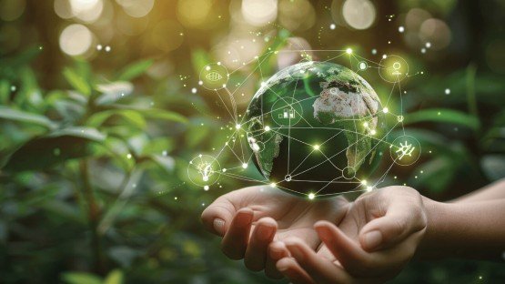 How biodiversity startups raise capital