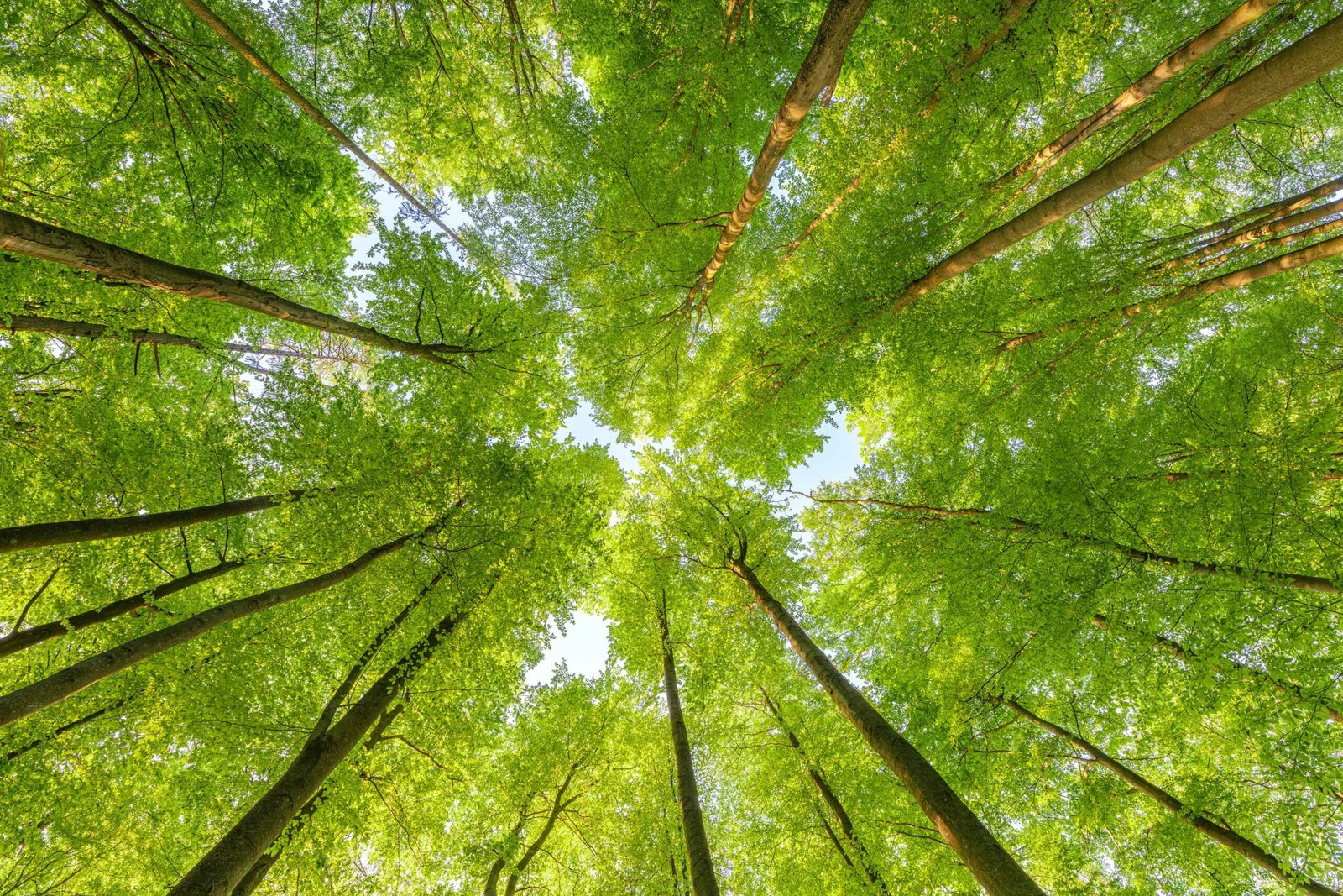 Sustainable Products & Circularity: Key Insights | EY