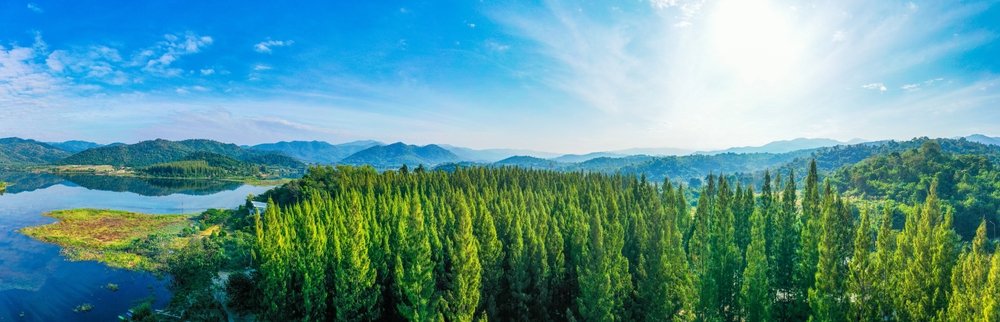 Has ESG become too political for European asset managers?