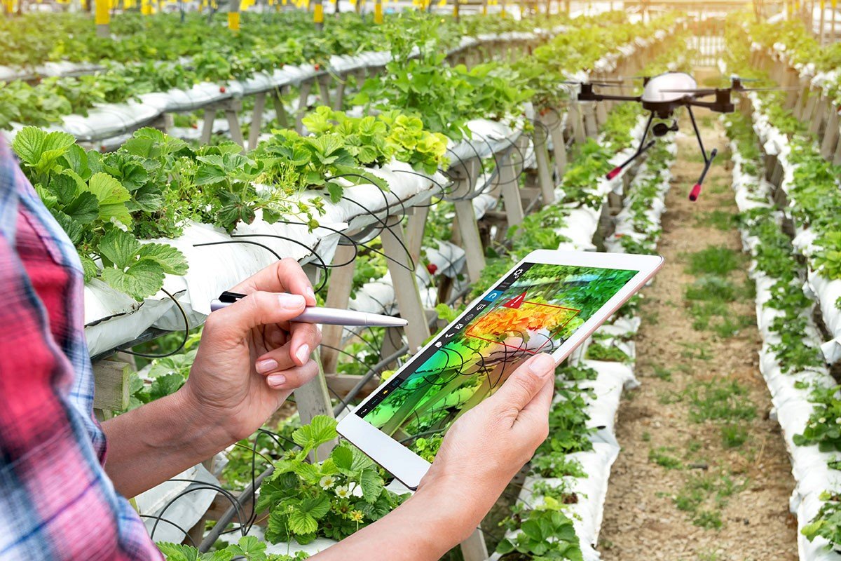 Robots step into Europe’s greenhouses with €8m backing