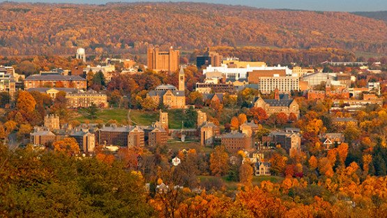 REEgen and RETRN Bio to establish local manufacturing space