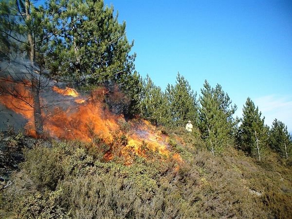 The EU gets ready to fight growing threat of wildfire