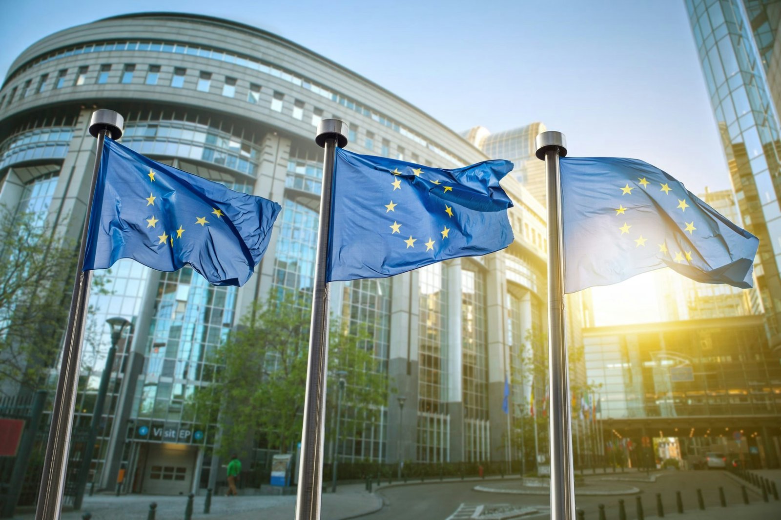 Nearly €80bn of public money is flooding into European VCs and startups. Is it what the market needs?