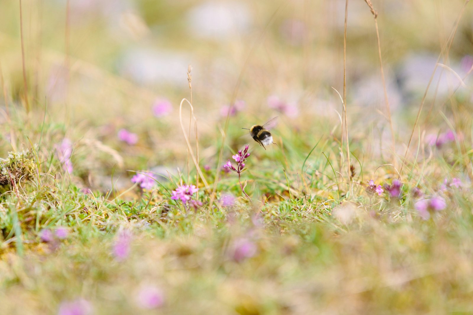 Five years after promising a law to prevent EU firms from selling pesticides which have been banned across the bloc, nothing has been published <a target="_blank" href="https://unsplash.com/@mikejerskine">(Photo: Mike Erskine)</a>