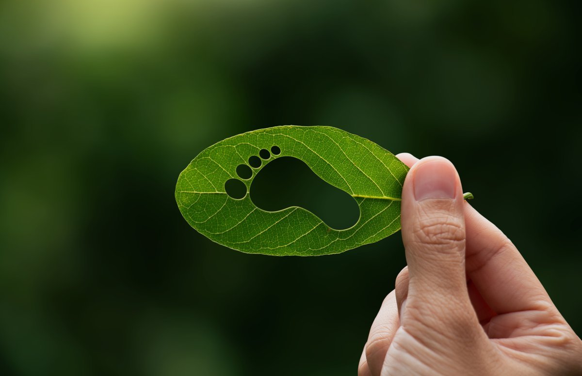 Cartons show how the circular economy works