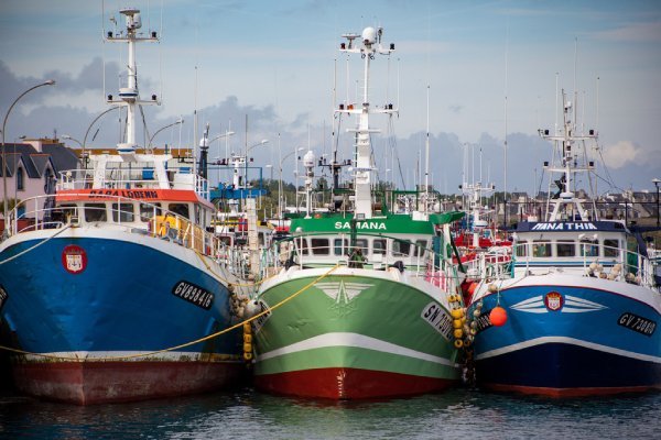 Evaluation Leads Europêche to Call for Targeted CFP Revision - The Fishing Daily