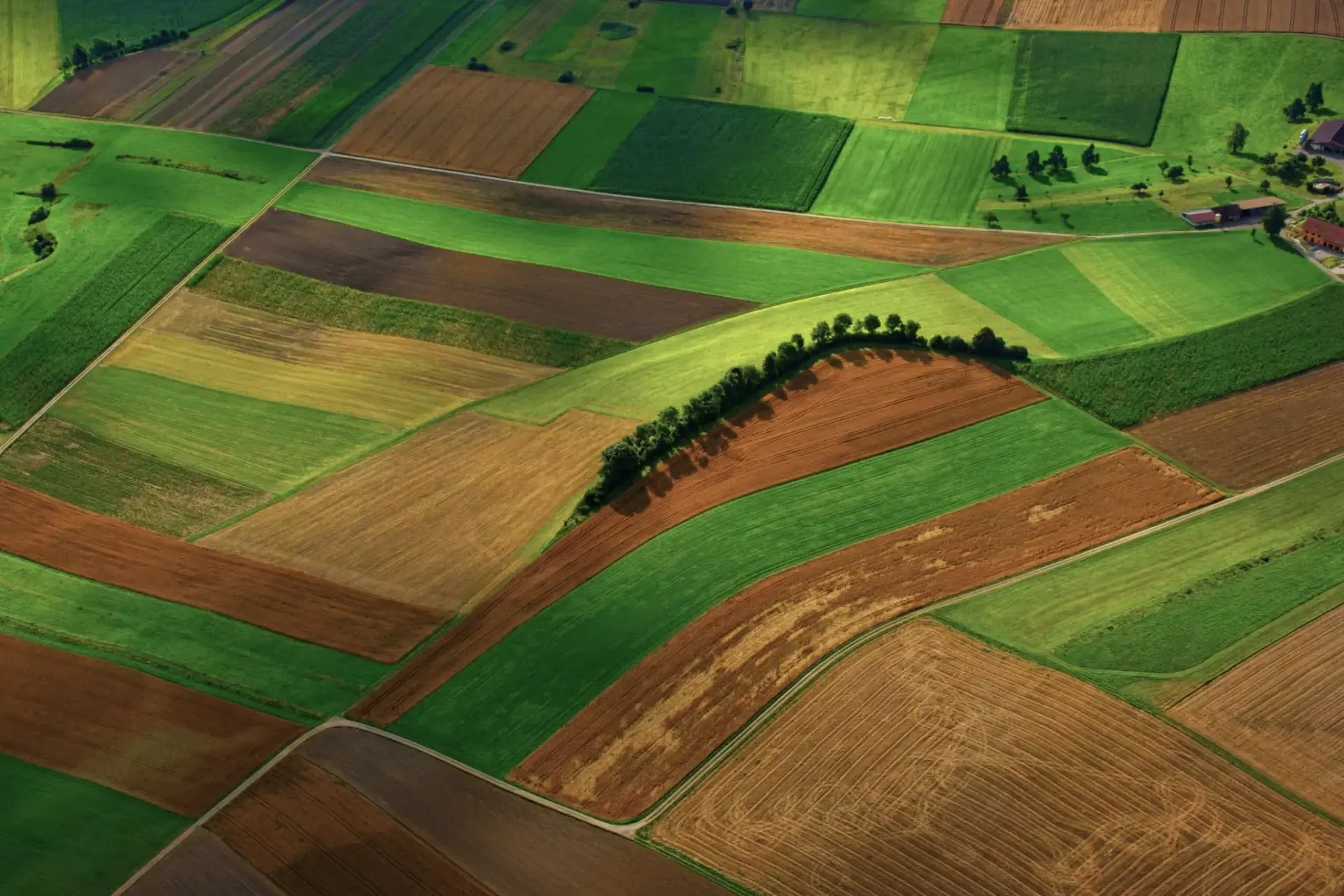 Nestlé and Soil Capital target resilience with regen ag deal
