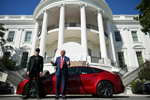 In Europe first, Netherlands to allow Teslas to self-drive