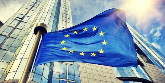 European Union Packaging and Packaging Waste Regulation Updates