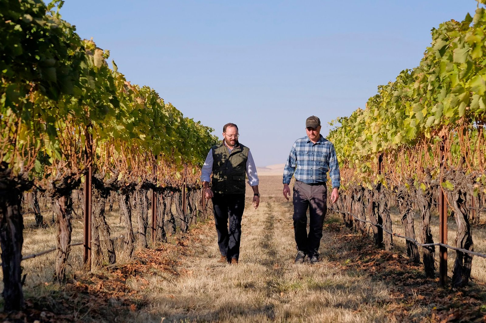 Regional: Glass Half Full: Newer Wine Regions Hit Hardest By Declining Demand