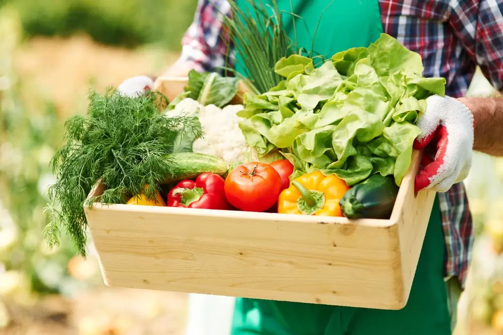 Commission presents plan to secure Europe's fertiliser supply and food security