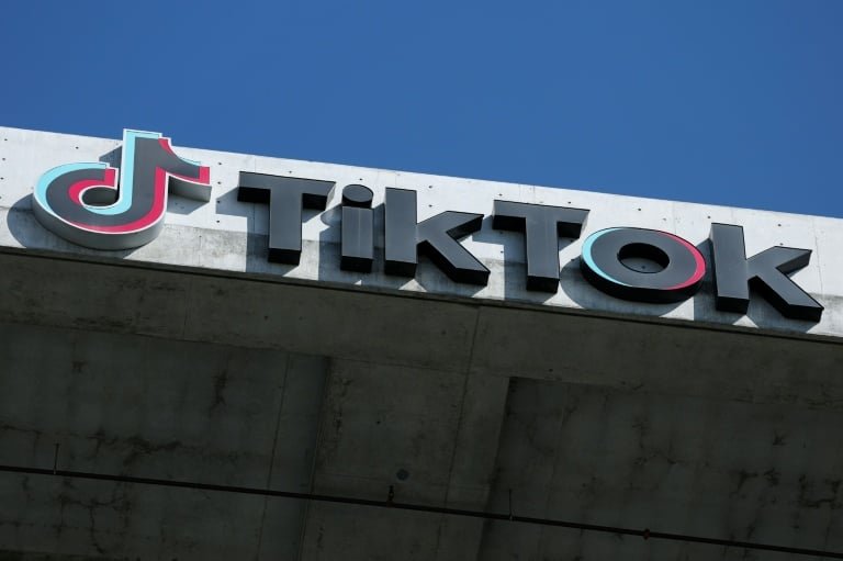 Germany wants to put TikTok 'in European hands'